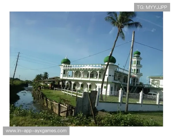 圭亚那女子排球队逐步崛起,圭亚那男足 圭亚那女子排球队逐步崛起,圭亚那男足